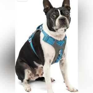 Kurgo Journey Air Dog Harness 10-25lbs